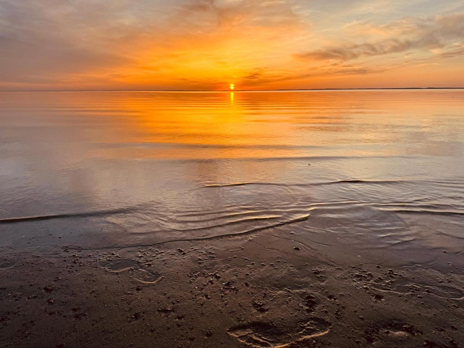 Pokoje Goscinne Ewa Nowicka Frombork Exteriör bild
